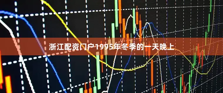 浙江配资门户1995年冬季的一天晚上