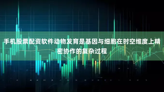 手机股票配资软件动物发育是基因与细胞在时空维度上精密协作的复杂过程