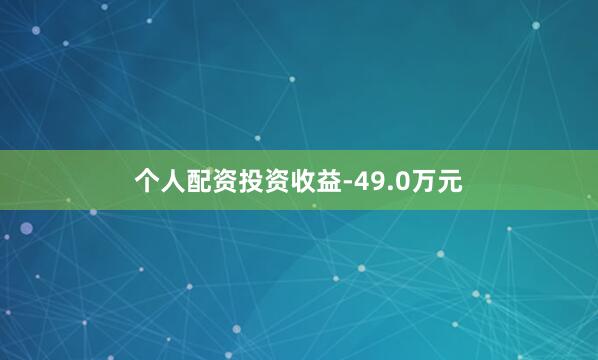 个人配资投资收益-49.0万元