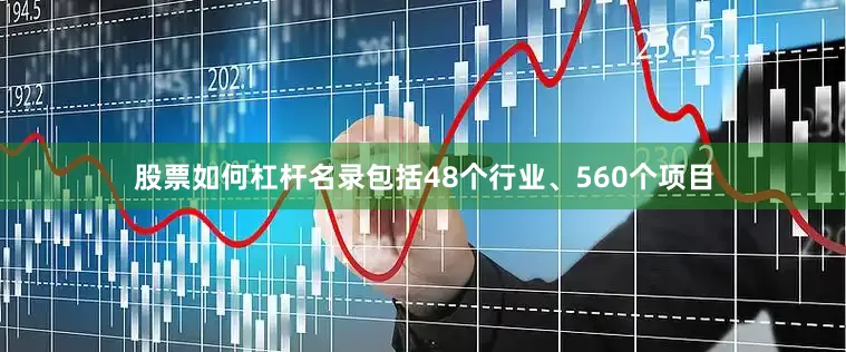 股票如何杠杆名录包括48个行业、560个项目