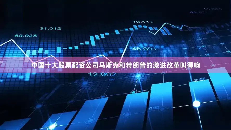 中国十大股票配资公司马斯克和特朗普的激进改革叫得响